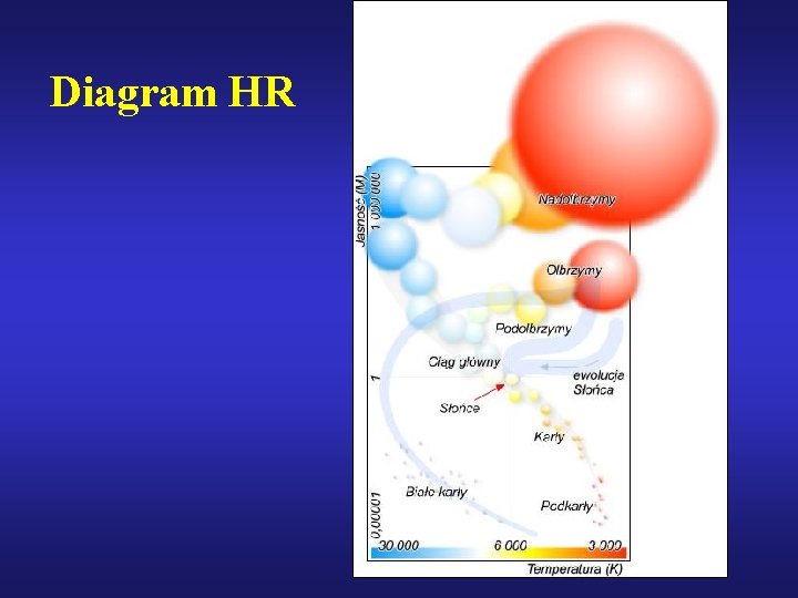 Diagram HR 