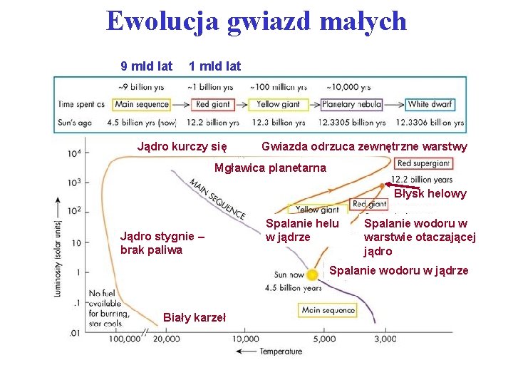 Ewolucja gwiazd małych 9 mld lat 1 mld lat Jądro kurczy się Gwiazda odrzuca