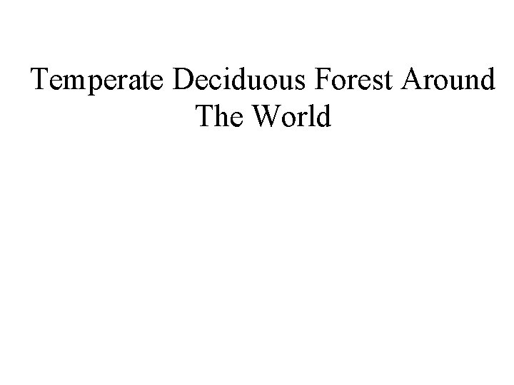 Temperate Deciduous Forest Around The World 