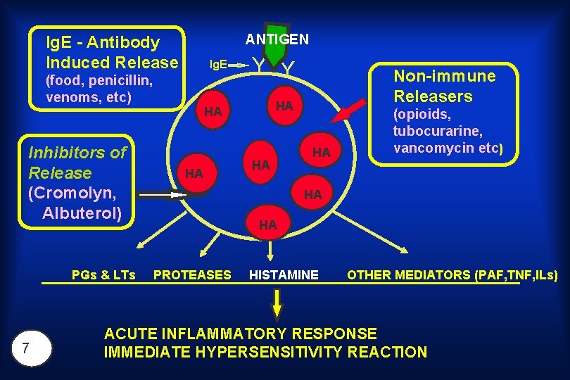 ANTIGEN Ig. E - Antibody Induced Release Ig. E (food, penicillin, venoms, etc) Inhibitors