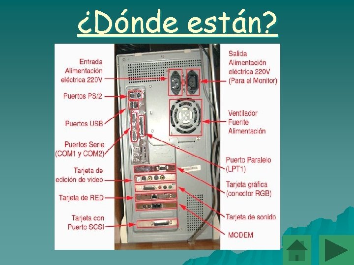 ¿Dónde están? 