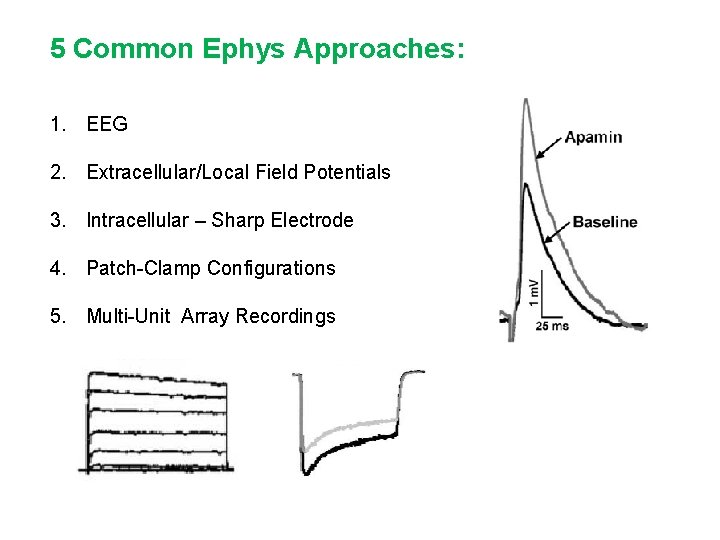 5 Common Ephys Approaches: 1. EEG 2. Extracellular/Local Field Potentials 3. Intracellular – Sharp