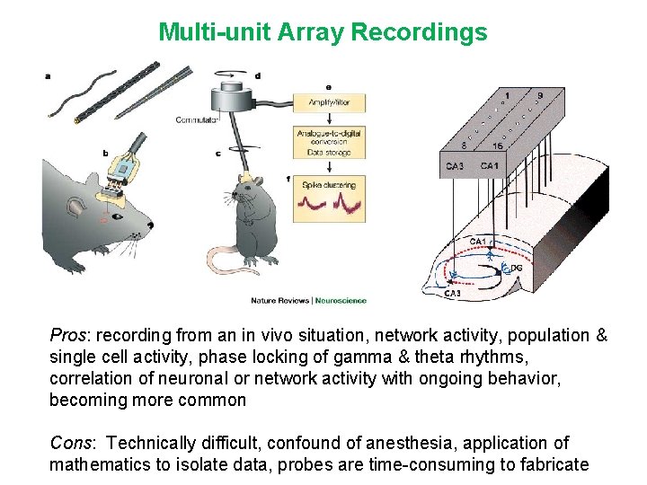 Multi-unit Array Recordings Pros: recording from an in vivo situation, network activity, population &