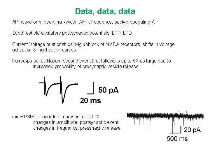 Data, data AP: waveform, peak, half-width, AHP, frequency, back-propagating AP Subthreshold excitatory postsynaptic potentials: