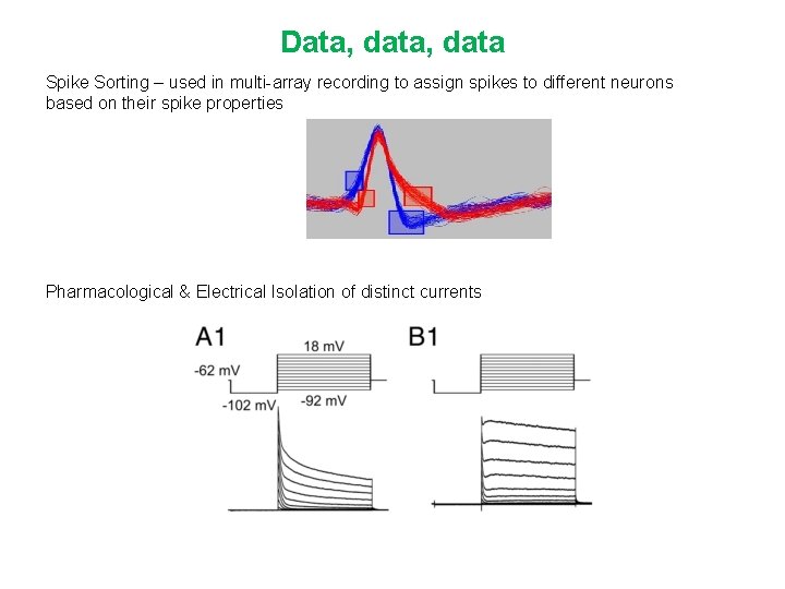 Data, data Spike Sorting – used in multi-array recording to assign spikes to different