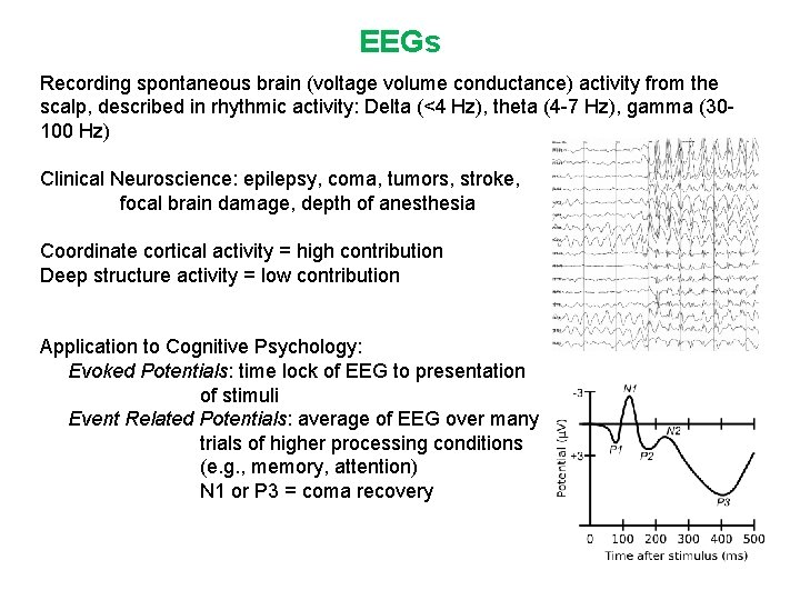 EEGs Recording spontaneous brain (voltage volume conductance) activity from the scalp, described in rhythmic