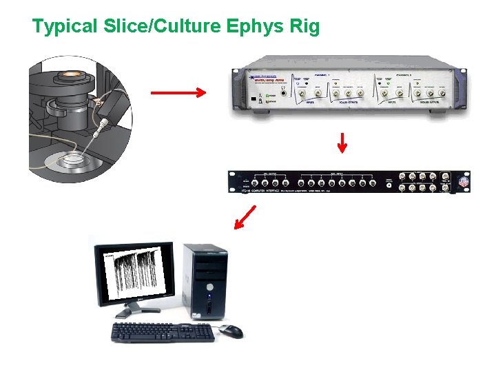 Typical Slice/Culture Ephys Rig 