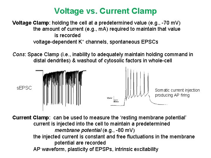 Voltage vs. Current Clamp Voltage Clamp: holding the cell at a predetermined value (e.