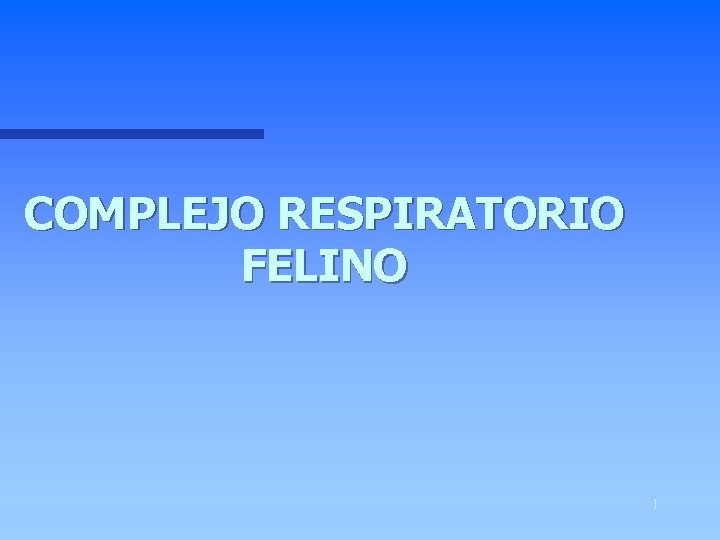 COMPLEJO RESPIRATORIO FELINO 1 