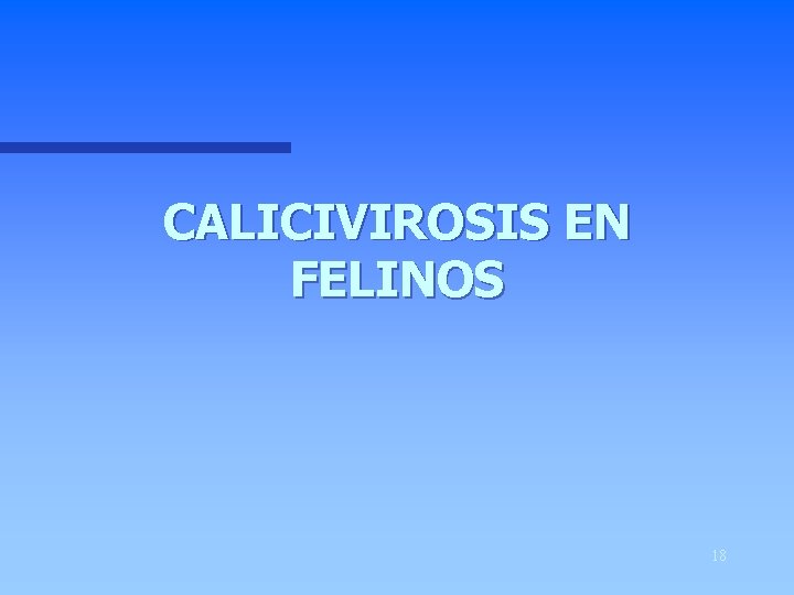 CALICIVIROSIS EN FELINOS 18 