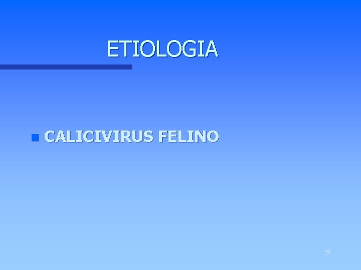 ETIOLOGIA n CALICIVIRUS FELINO 19 