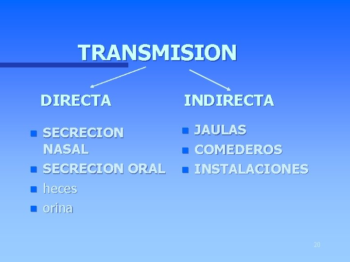 TRANSMISION n n DIRECTA INDIRECTA SECRECION NASAL SECRECION ORAL heces orina n n n