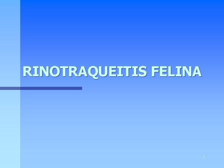 RINOTRAQUEITIS FELINA 3 