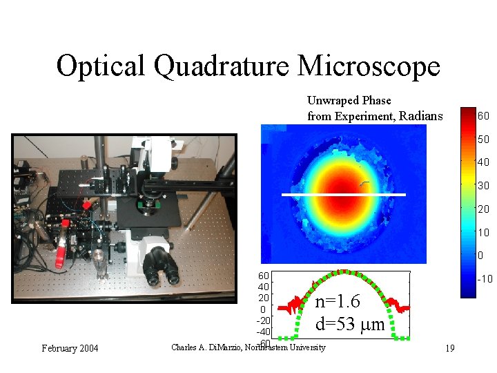 Optical Quadrature Microscope Unwraped Phase from Experiment, Radians 60 50 40 30 20 10 Optical Quadrature Microscope Unwraped Phase from Experiment, Radians 60 50 40 30 20 10