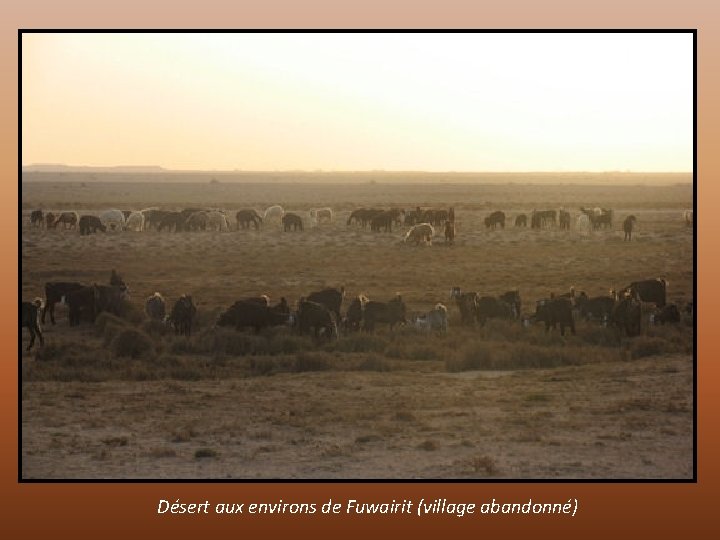 Désert aux environs de Fuwairit (village abandonné) 