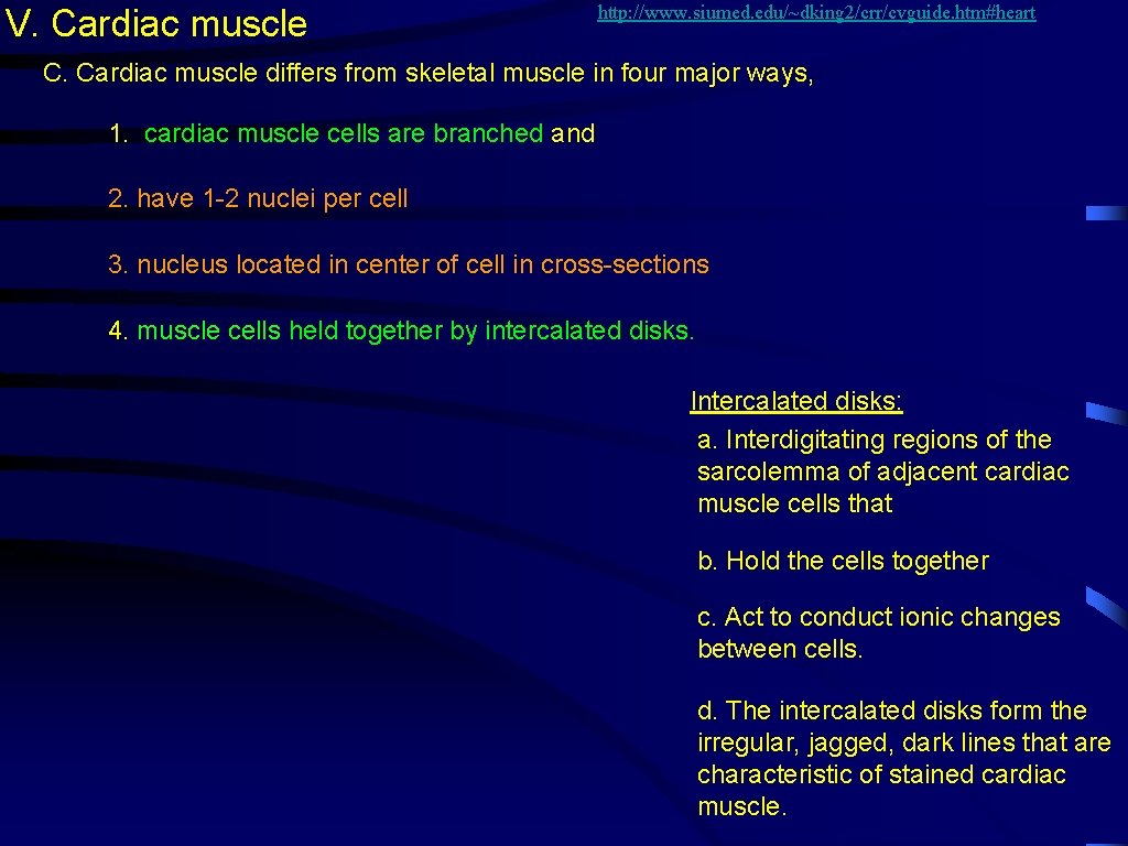 V. Cardiac muscle http: //www. siumed. edu/~dking 2/crr/cvguide. htm#heart C. Cardiac muscle differs from