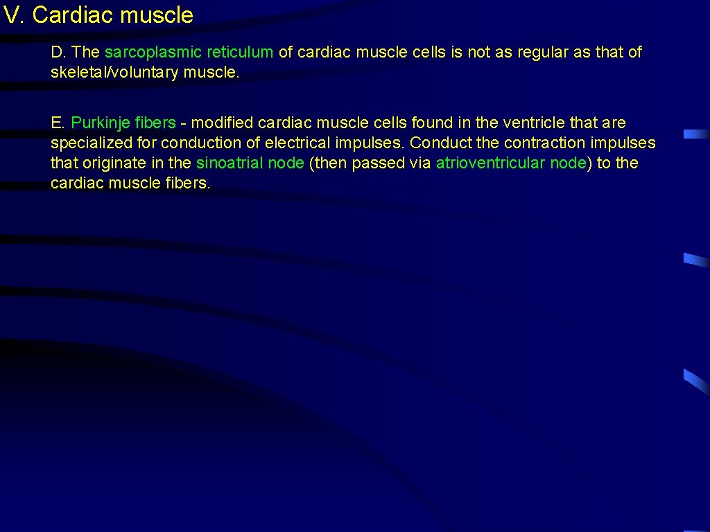 V. Cardiac muscle D. The sarcoplasmic reticulum of cardiac muscle cells is not as