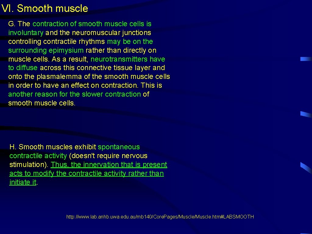 VI. Smooth muscle G. The contraction of smooth muscle cells is involuntary and the