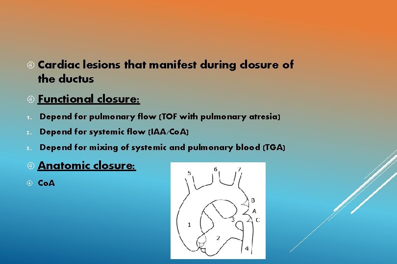  Cardiac lesions that manifest during closure of the ductus Functional closure: 1. Depend