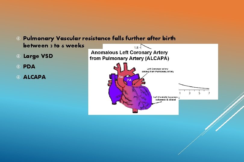  Pulmonary Vascular resistance falls further after birth between 3 to 6 weeks Large