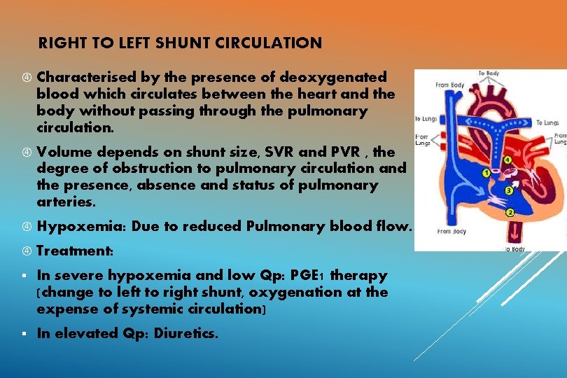 RIGHT TO LEFT SHUNT CIRCULATION Characterised by the presence of deoxygenated blood which circulates