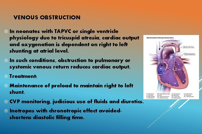 VENOUS OBSTRUCTION In neonates with TAPVC or single ventricle physiology due to tricuspid atresia,