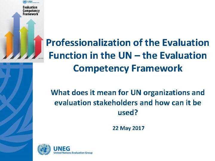 Professionalization of the Evaluation Function in the UN – the Evaluation Competency Framework What
