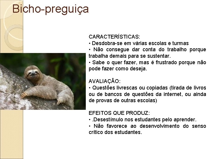 Bicho-preguiça CARACTERÍSTICAS: • Desdobra-se em várias escolas e turmas • Não consegue dar conta