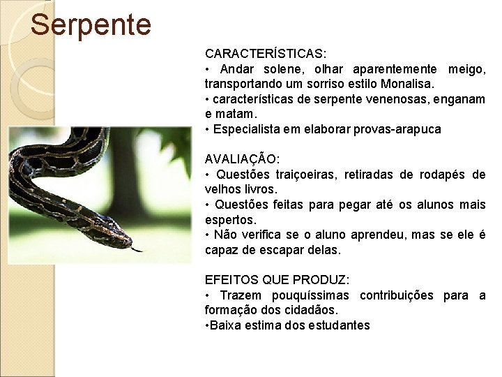 Serpente CARACTERÍSTICAS: • Andar solene, olhar aparentemente meigo, transportando um sorriso estilo Monalisa. •