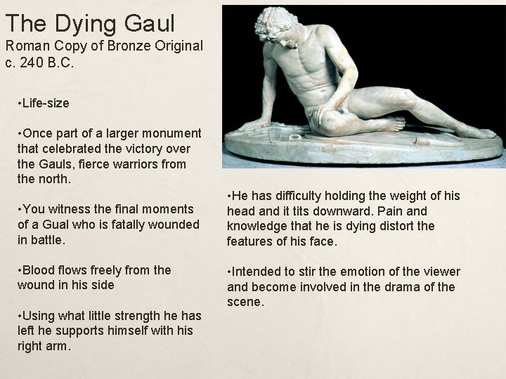 The Dying Gaul Roman Copy of Bronze Original c. 240 B. C. • Life-size