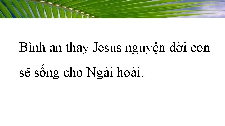 Bình an thay Jesus nguyện đời con sẽ sống cho Ngài hoài. 