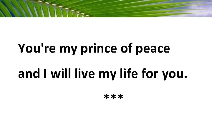 You're my prince of peace and I will live my life for you. ***