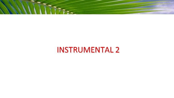 INSTRUMENTAL 2 