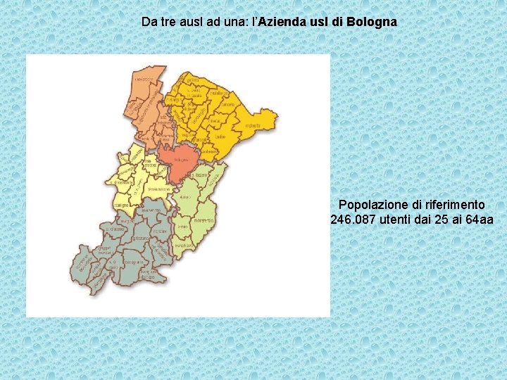 Da tre ausl ad una: l’Azienda usl di Bologna Popolazione di riferimento 246. 087