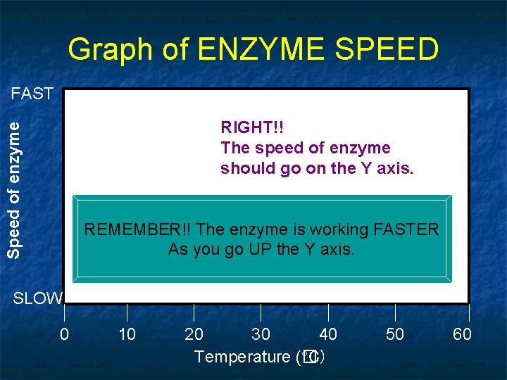 Graph of ENZYME SPEED FAST Speed of enzyme RIGHT!! The speed of enzyme should