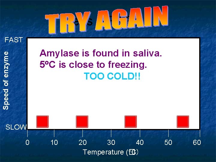 Let’s GRAPH!! FAST Speed of enzyme Amylase is found in saliva. 5 C is