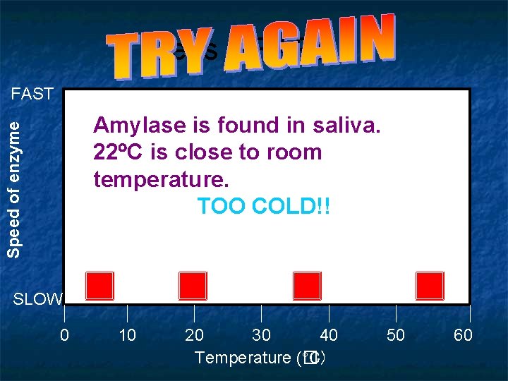 Let’s GRAPH!! FAST Speed of enzyme Amylase is found in saliva. 22 C is