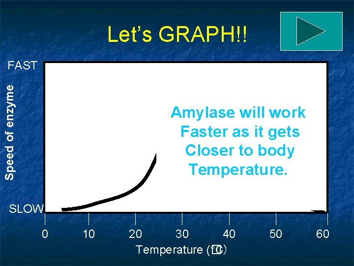 Let’s GRAPH!! Speed of enzyme FAST Amylase will work Faster as it gets Closer