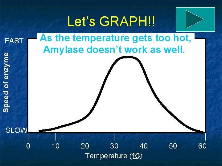 Let’s GRAPH!! As the temperature gets too hot, Amylase doesn’t work as well. Speed