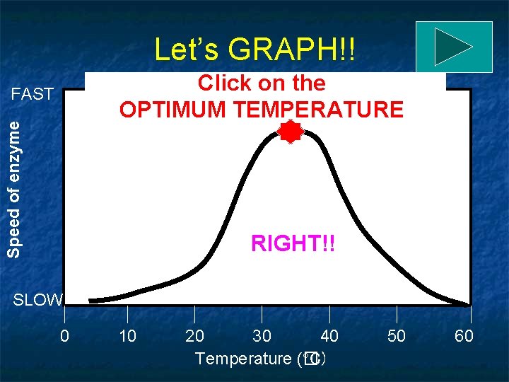 Let’s GRAPH!! Click on the OPTIMUM TEMPERATURE Speed of enzyme FAST RIGHT!! SLOW 0