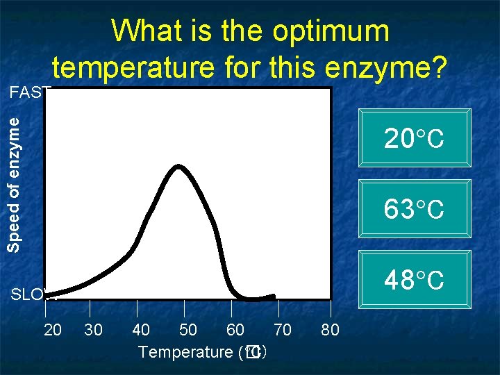 What is the optimum temperature for this enzyme? Speed of enzyme FAST 20 C