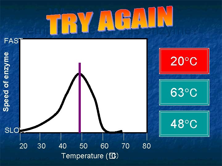 What is the optimum temperature for this enzyme? Speed of enzyme FAST 20 C