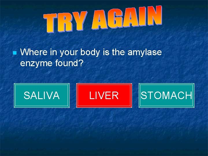 QUIZ - QUESTION 1 n Where in your body is the amylase enzyme found?