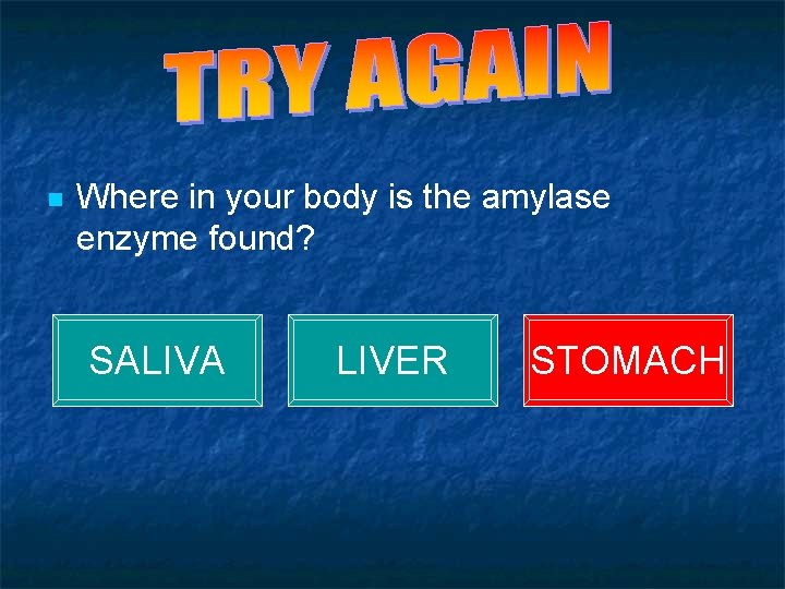 QUIZ - QUESTION 1 n Where in your body is the amylase enzyme found?