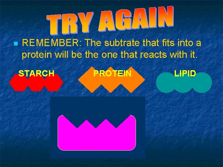 QUIZ - QUESTION 3 n REMEMBER: The subtrate that fits into a protein will