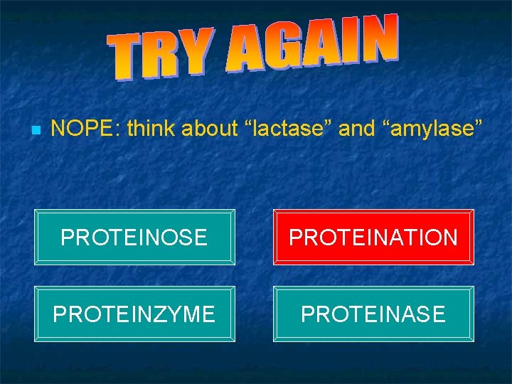 QUIZ - QUESTION 4 n NOPE: think about “lactase” and “amylase” PROTEINOSE PROTEINATION PROTEINZYME
