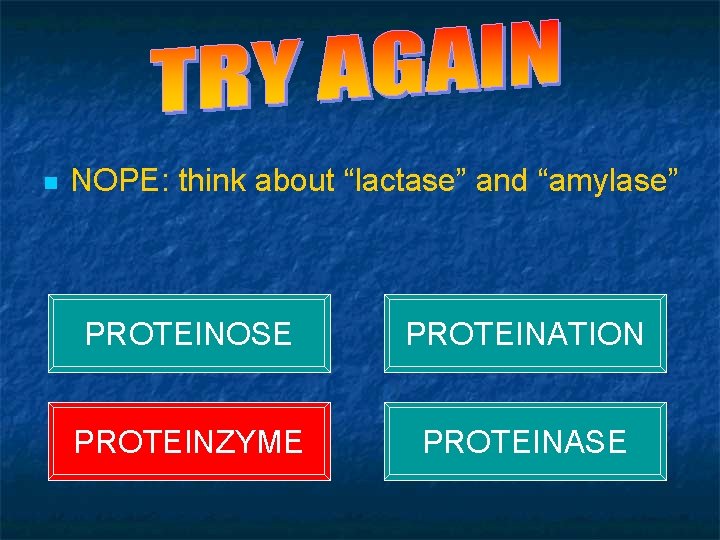 QUIZ - QUESTION 4 n NOPE: think about “lactase” and “amylase” PROTEINOSE PROTEINATION PROTEINZYME