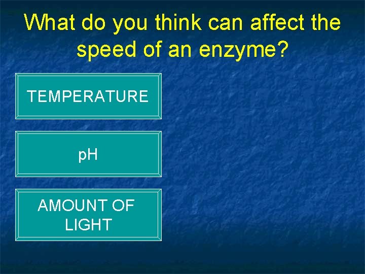 What do you think can affect the speed of an enzyme? TEMPERATURE p. H