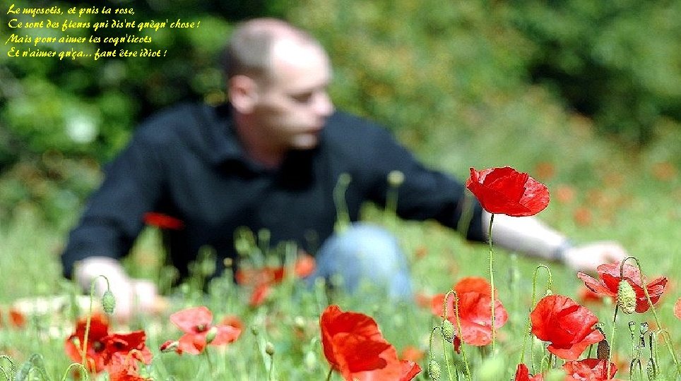 Le myosotis, et puis la rose, Ce sont des fleurs qui dis'nt quèqu' chose