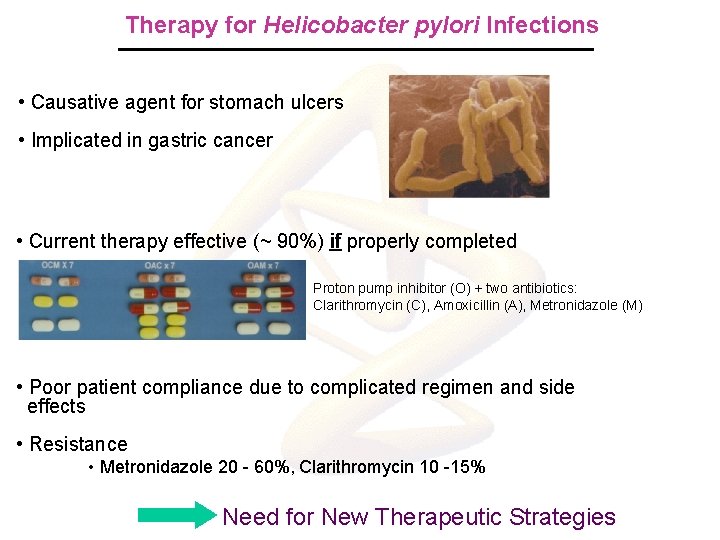 Therapy for Helicobacter pylori Infections • Causative agent for stomach ulcers • Implicated in